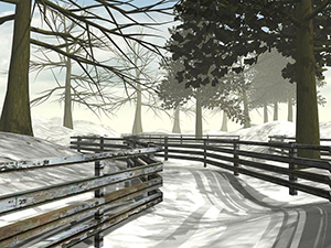 A flower in snow