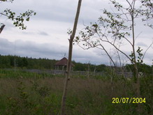 boardwalk