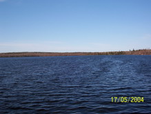Corduroy Pond