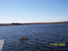 Corduroy Pond