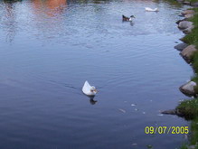 Church Road Park