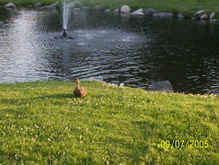 Church Road Park