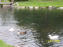 Church Road Park