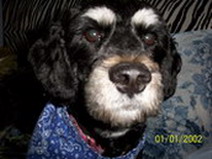 Casey