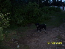 Casey at Charles' Brook