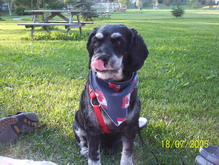 Casey
