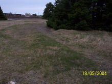 Evans' Point