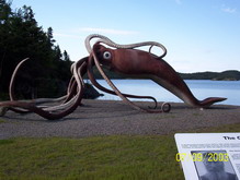 giant squid