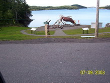 giant squid