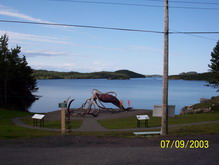 giant squid