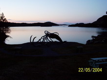 giant squid