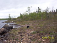 Rushy Pond