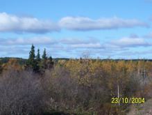 Old Botwood Highway
