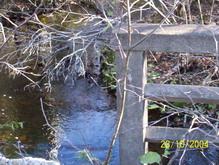 Old Botwood Highway