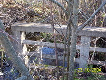 Old Botwood Highway