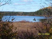 Old Botwood Highway