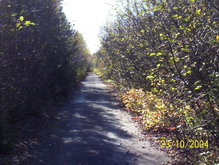 Old Botwood Highway
