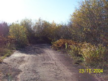 Old Botwood Highway