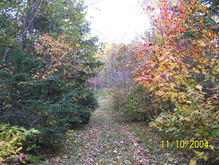Old Botwood Highway