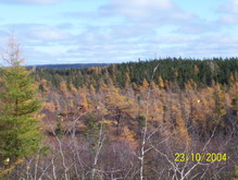 Old Botwood Highway