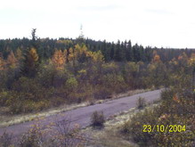 Old Botwood Highway