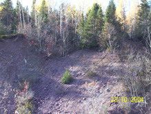 Old Botwood Highway