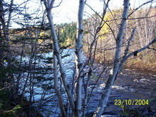 Peter's River