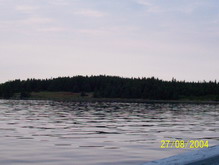 Botwood Harbour