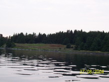 Botwood Harbour