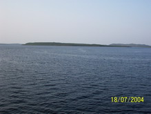 Botwood Harbour