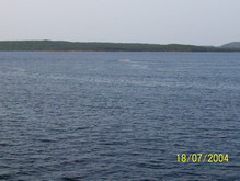 Botwood Harbour