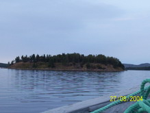 Potato Island