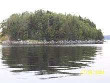 Potato Island