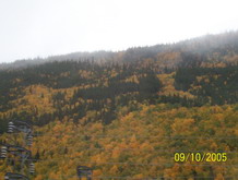 Corner Brook