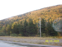 Corner Brook