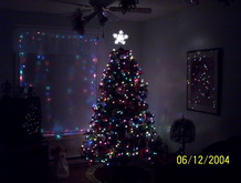 Christmas tree at night