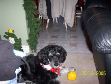 Casey with his new ball