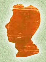 Logo Waldetaro Dias�