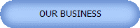 OUR BUSINESS