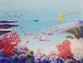 Coral Garden
