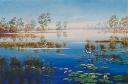 Kakadu Wetlands