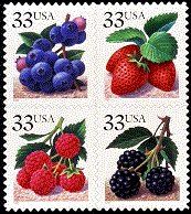 Fruit Berries Stamps