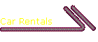 Car Rentals