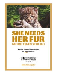 No Fur