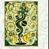 Steve Earle/I Feel Alright
