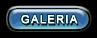 Visitar a Galeria do site