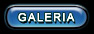 Visitar a Galeria de Imagens