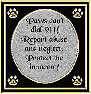 Protect Your Pets!