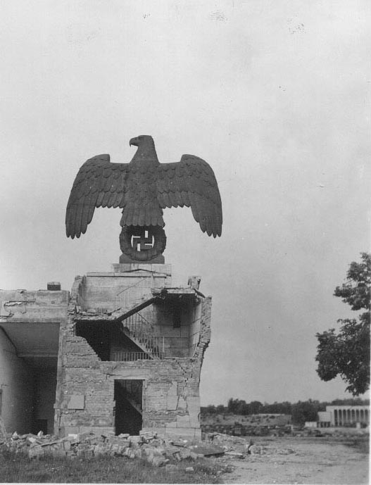 eagle