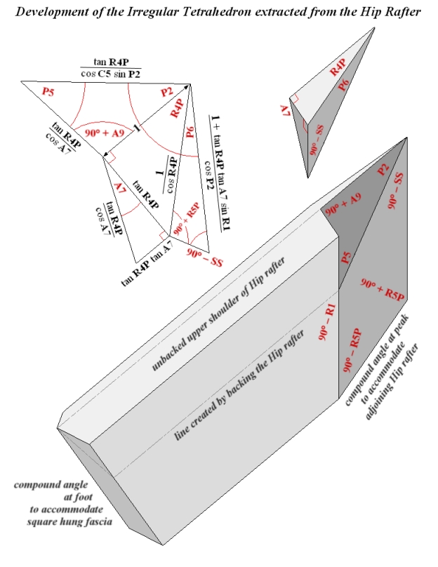 Development of the Irregular Tetrahedron extracted from the Hip Rafter Peak